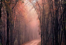 欧空局未来三年重点投资深空与月球项目