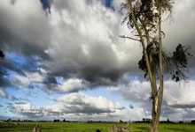 国家医保新增药品平均降价60.7%