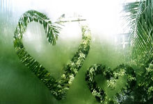 国家医保新增药品平均降价60.7%