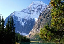 科学新发现丨研究发现辣椒可预防喝酒伤胃