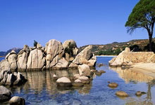 “砸蛋”“喂鸡”套路多 “双11”消费维权有四大陷阱